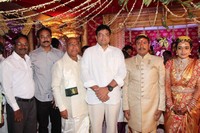 Nandamuri Mohana Krishna Daughter Marriage Photos